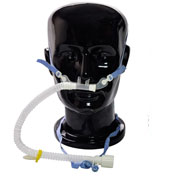 Adult Nasal Cannula